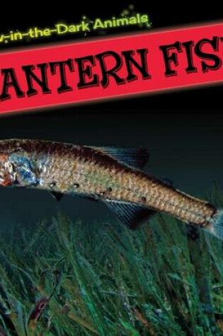 Cover of Lantern Fish