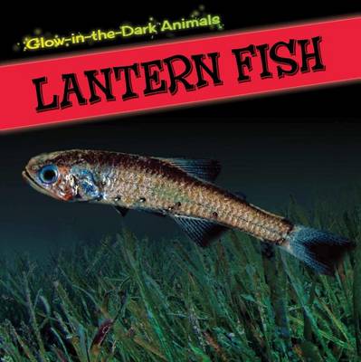 Cover of Lantern Fish