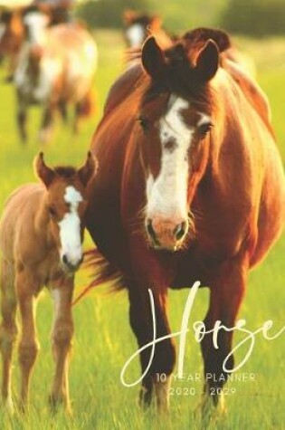 Cover of 2020-2029 10 Ten Year Planner Monthly Calendar Horse Foal Goals Agenda Schedule Organizer