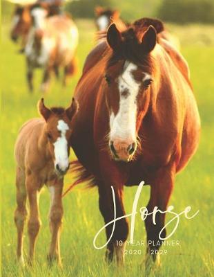 Book cover for 2020-2029 10 Ten Year Planner Monthly Calendar Horse Foal Goals Agenda Schedule Organizer