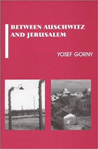 Cover of Between Auschwitz and Jerusalem