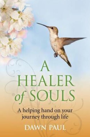 Cover of A Healer of Souls