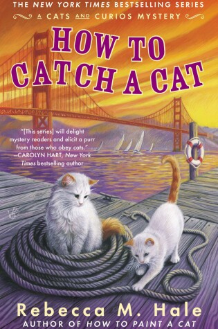 Cover of How to Catch a Cat