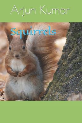 Book cover for Squirrels