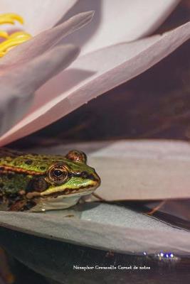 Cover of Nenuphar Grenouille Carnet de notes