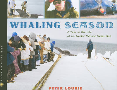 Book cover for Whaling Season: a Year in the Life of an Arctic Whale Scientist