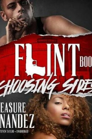Cover of Flint, Book 1