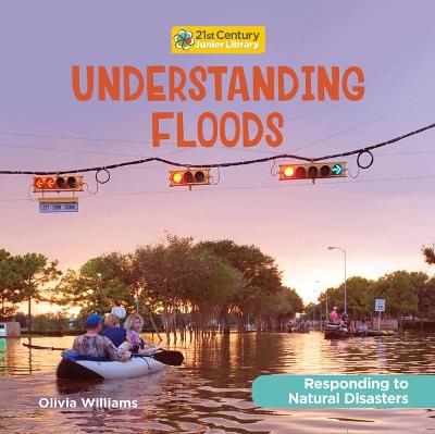 Cover of Understanding Floods