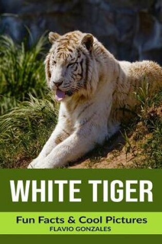 Cover of White Tiger