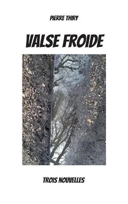 Book cover for Valse froide