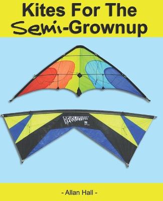 Book cover for Kites For The Semi-Grownup