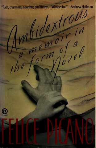 Book cover for Picano Felice : Ambidextrous