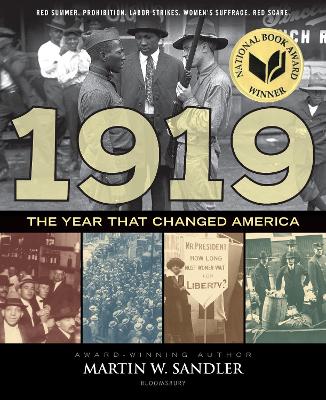 Book cover for 1919 The Year That Changed America
