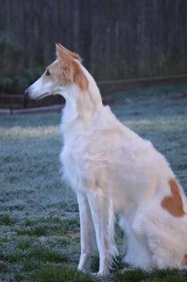 Book cover for Russian Wolfhound Borzoi Dog with a Heart Marking Journal