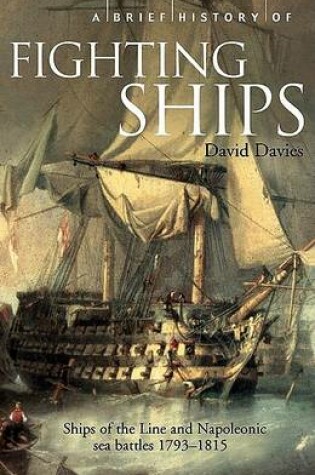 Cover of A Brief History of Fighting Ships