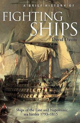 Book cover for A Brief History of Fighting Ships