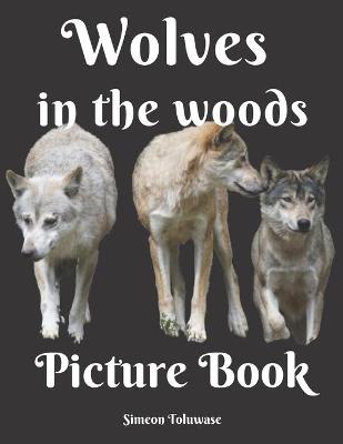 Book cover for Wolves in the Woods Picture Book