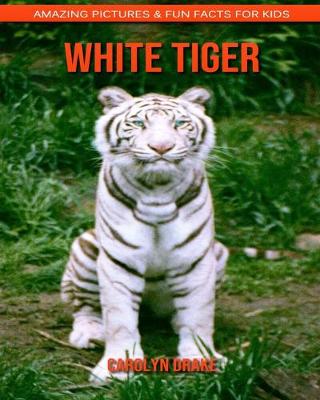 Book cover for White Tiger