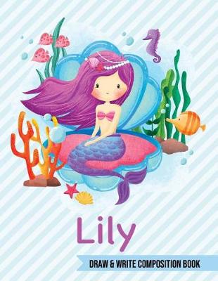Book cover for Lily Draw and Write Composition Book