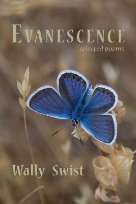 Book cover for Evanescence