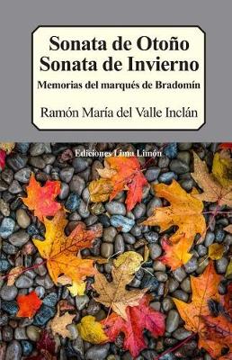 Book cover for Sonata de Otoño, Sonata de Invierno