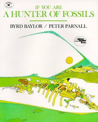 Book cover for If You are a Hunter of Fossils