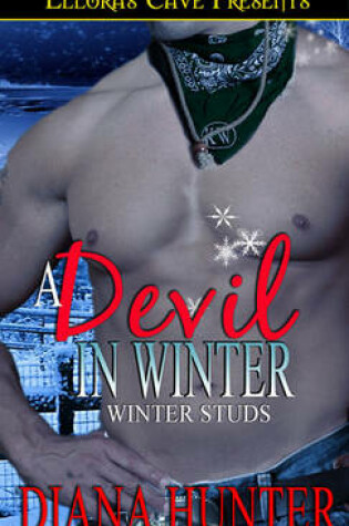 Cover of A Devil in Winter