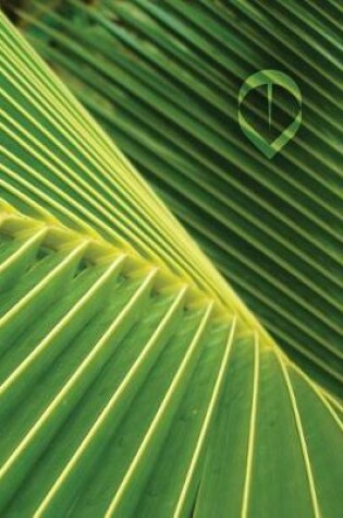 Cover of Palm Leaf Grid Sketchbook