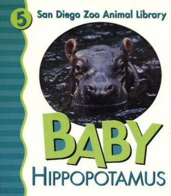 Book cover for Baby Hippopotamus