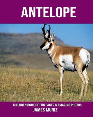 Book cover for Antelope