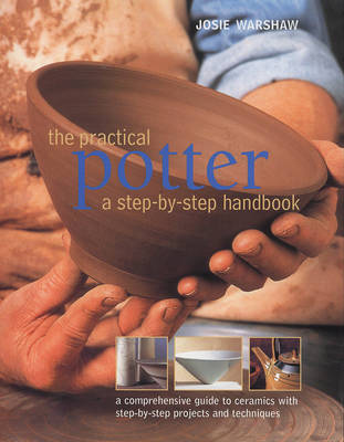 Book cover for The Practical Potter