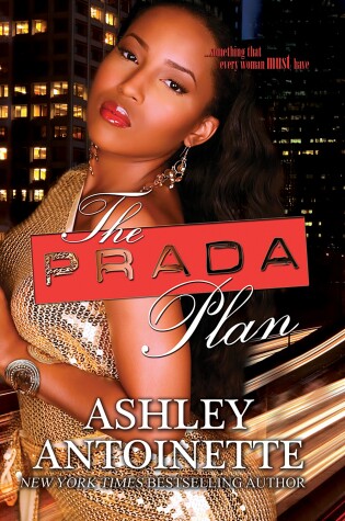Cover of The Prada Plan