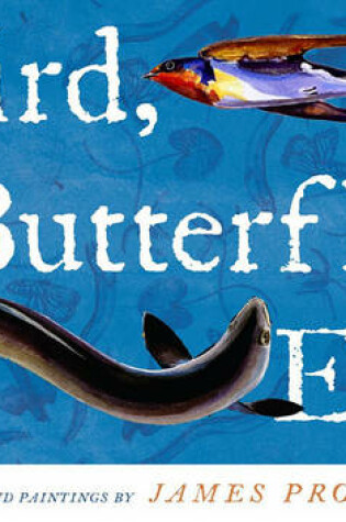 Cover of Bird, Butterfly, Eel