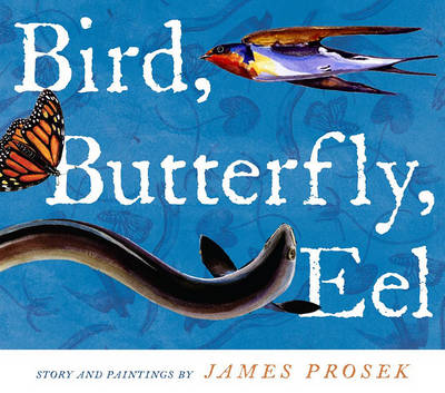 Book cover for Bird, Butterfly, Eel