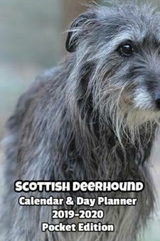 Cover of Scottish Deerhound Calendar & Day Planner 2019-2020 Pocket Edition