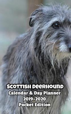 Book cover for Scottish Deerhound Calendar & Day Planner 2019-2020 Pocket Edition