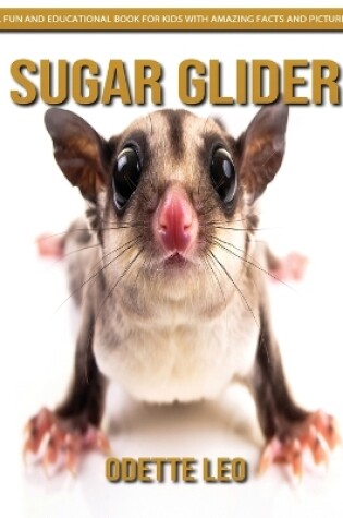 Cover of Sugar Glider