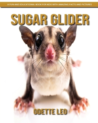 Book cover for Sugar Glider