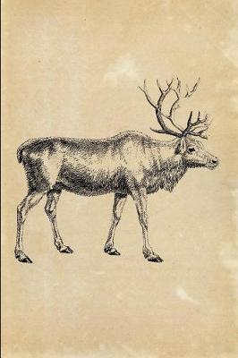 Book cover for Reindeer (Cervus Tarandus)