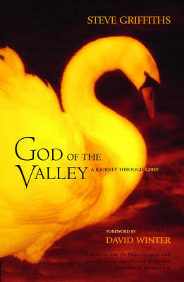 Book cover for God of the Valley