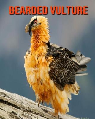 Book cover for Bearded Vulture