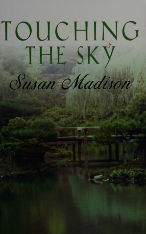 Book cover for Touching The Sky