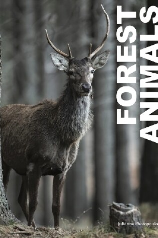 Cover of Forest Animals