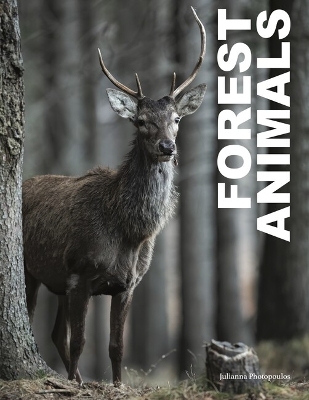 Book cover for Forest Animals