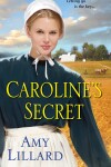 Book cover for Caroline's Secret
