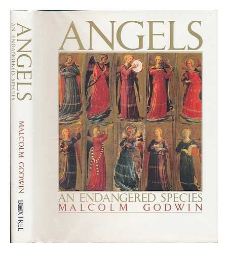 Book cover for Angels