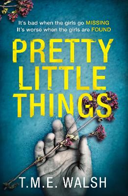 Book cover for Pretty Little Things