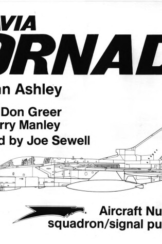 Cover of Panavia Tornado in Action
