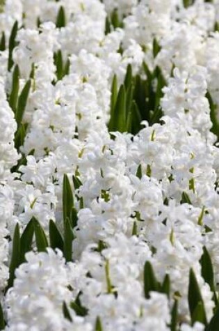 Cover of Field of White Hyacinth (for the Love of Flowers)