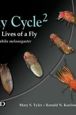 Cover of Fly Cycle 2